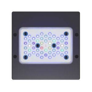 RADION XR15 G5 BLUE LED LIGHT FIXTURE - ECOTECH MARINE
